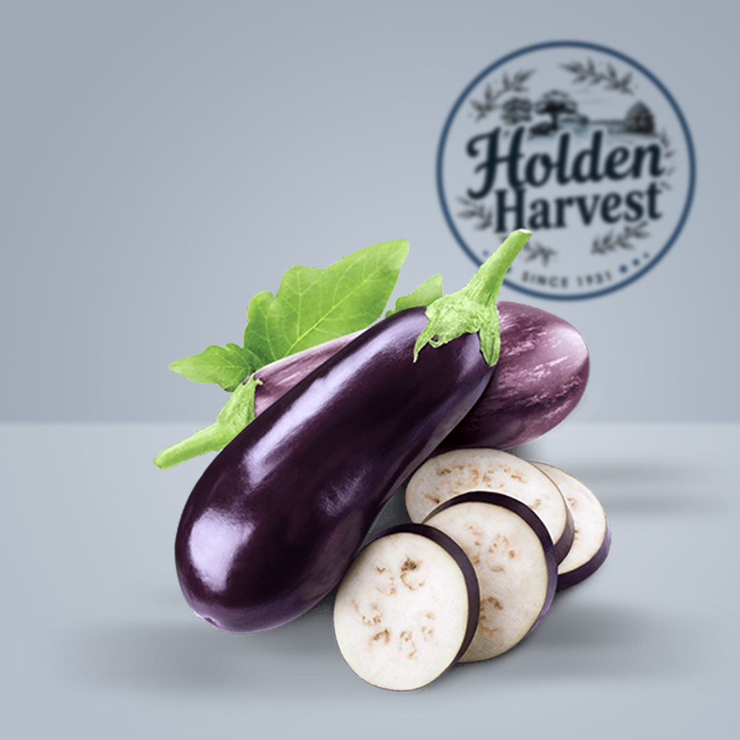  eggplant